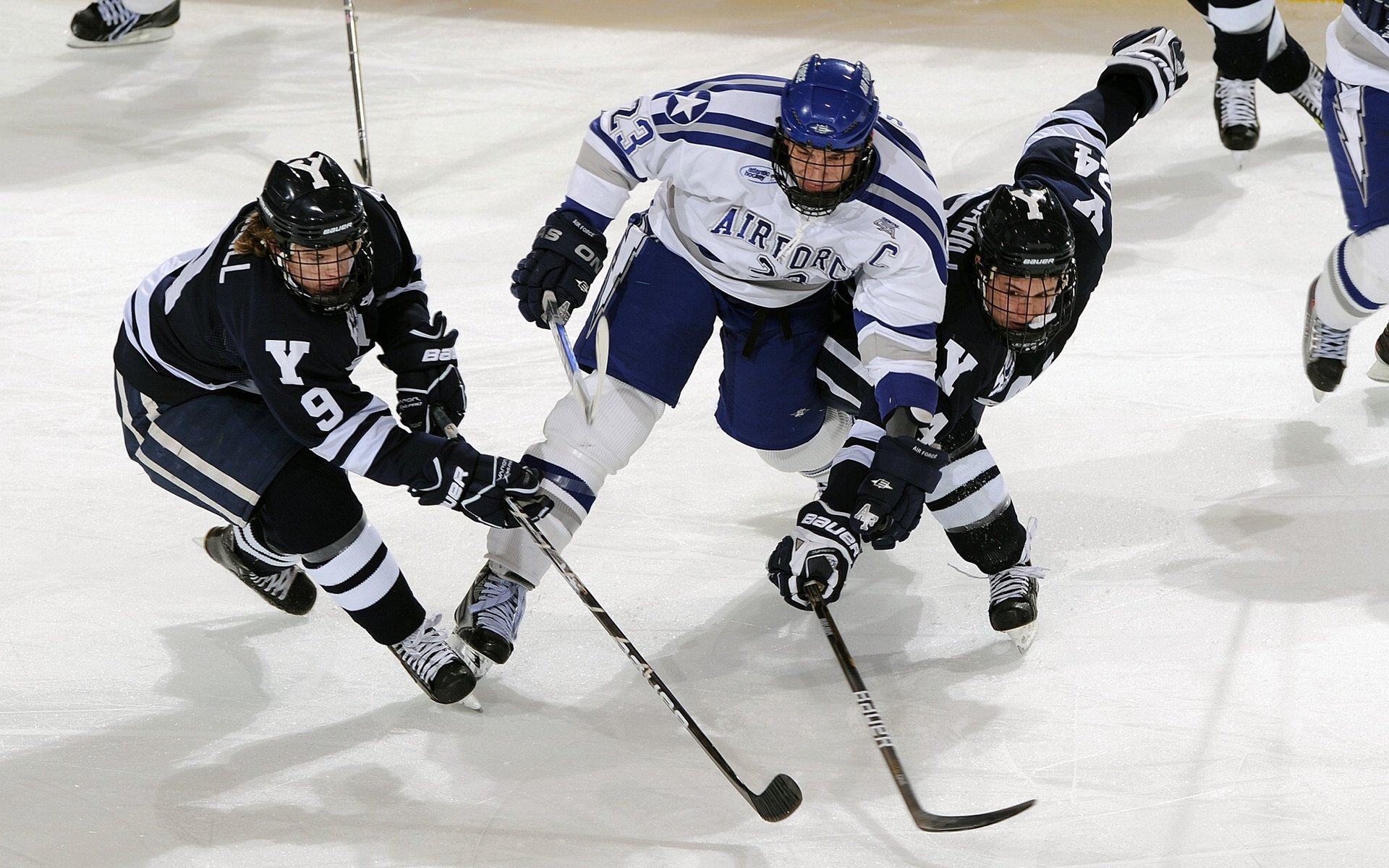 戈贝尔爆发，爵士关键战突围开拓者