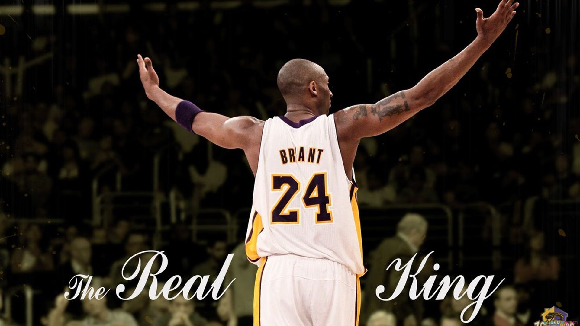 开云官网-跨界主宰，从黄蜂稳胜快船，到爱德华兹在欧冠决赛的接管艺术